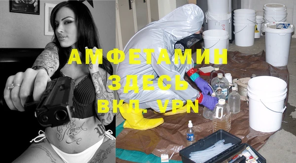 ГАЛЛЮЦИНОГЕННЫЕ ГРИБЫ Баксан