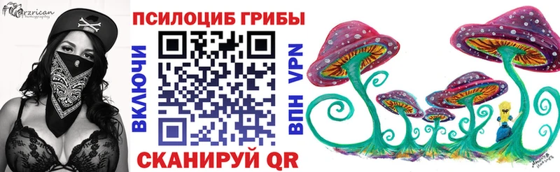 Купить закладки  Белово  Галлюциногенные грибы Psilocybe 