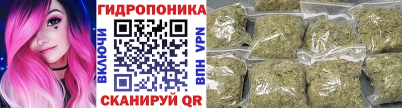 Канабис Ganja  Купить закладки  Белово 